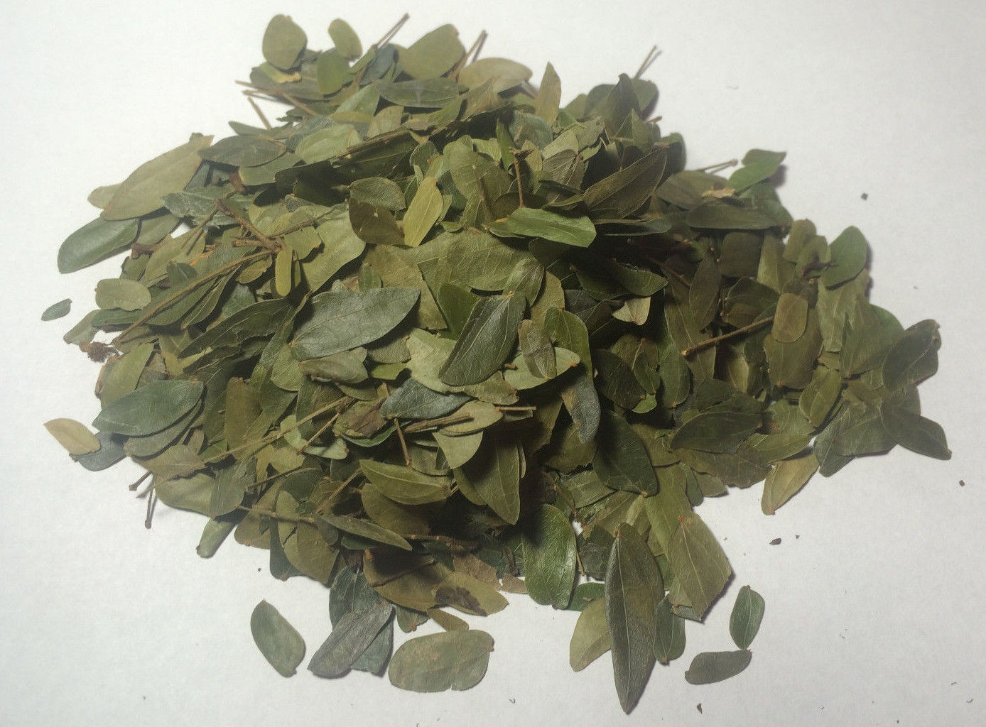1000 Grams 1 Kg Bobinsana Leaf Calliandra Angustifolia